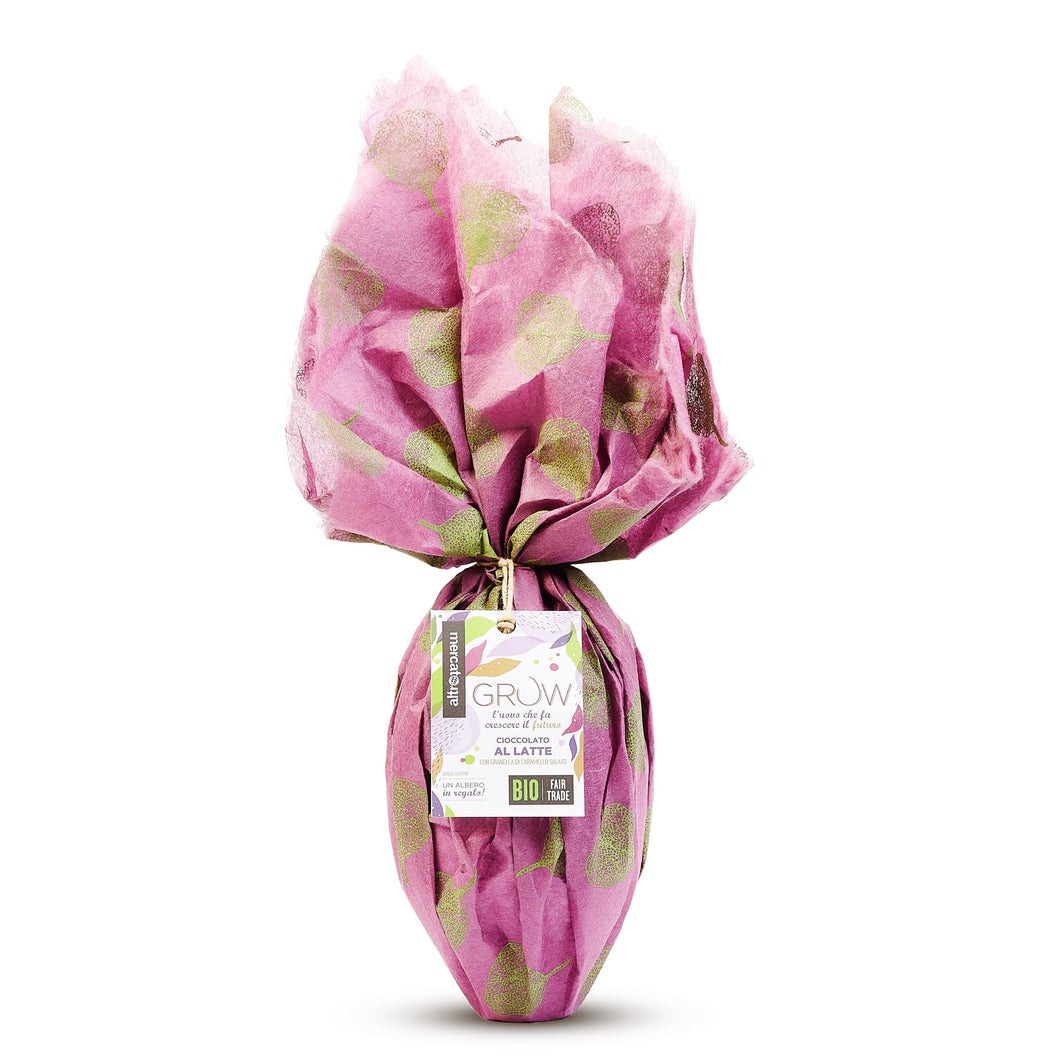 Grow uovo di cioccolato a latte al caramello salato | 350 gr